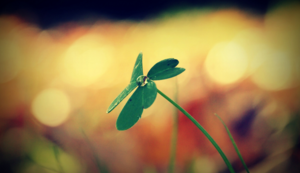 热刺保级压力大增，降级危机蔓延